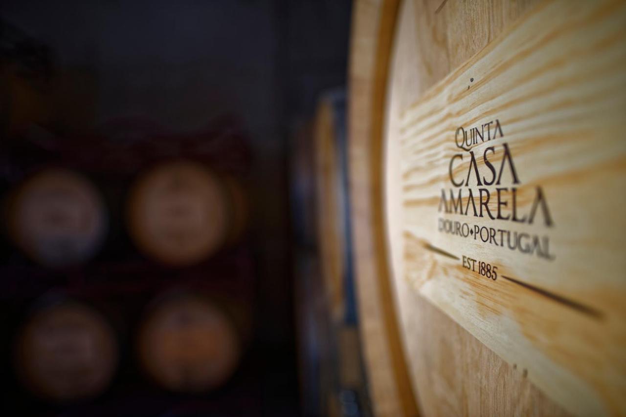 Quinta Da Casa Amarela- Casas Da Quinta - Turismo Em Espaco Rural Lamego Dış mekan fotoğraf