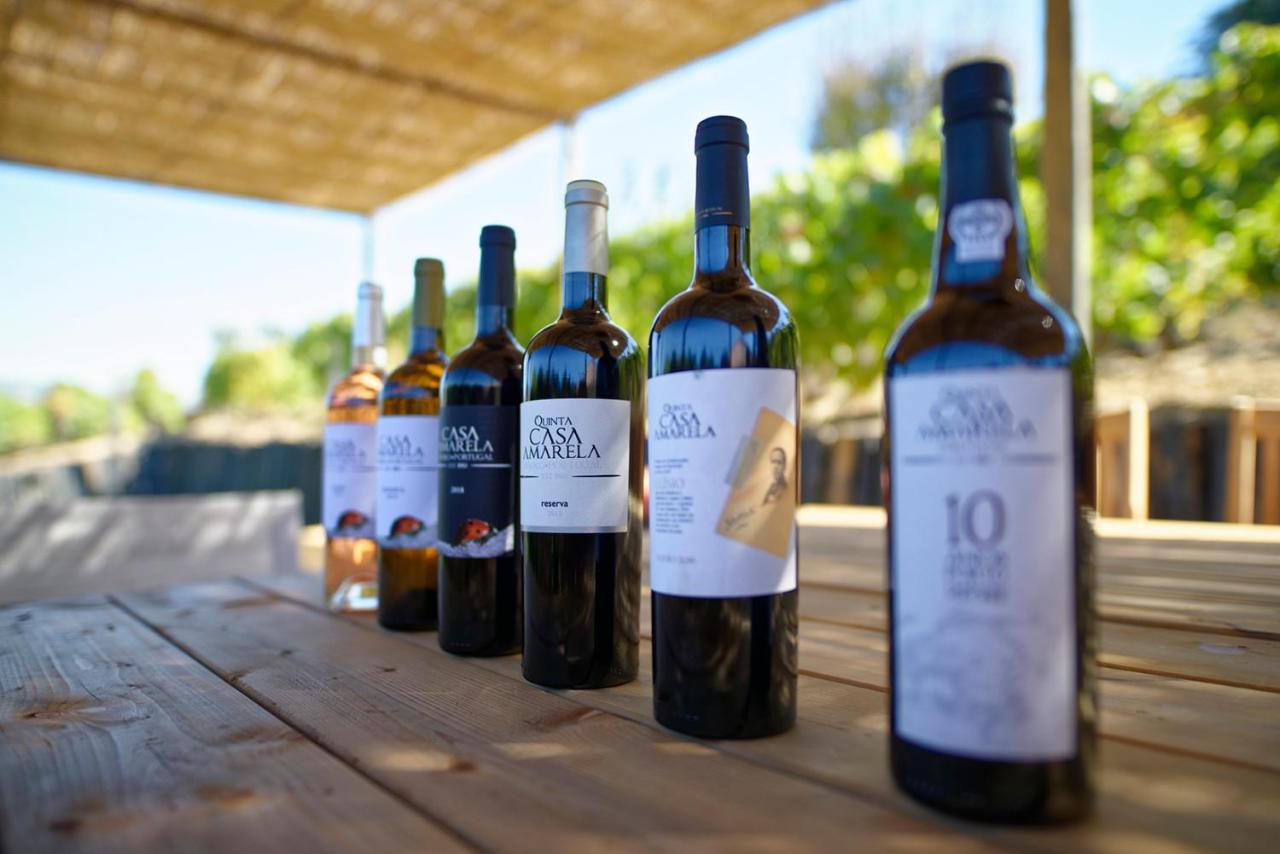 Quinta Da Casa Amarela- Casas Da Quinta - Turismo Em Espaco Rural Lamego Dış mekan fotoğraf